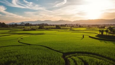 Pendidikan ibarat ladang sawah negara